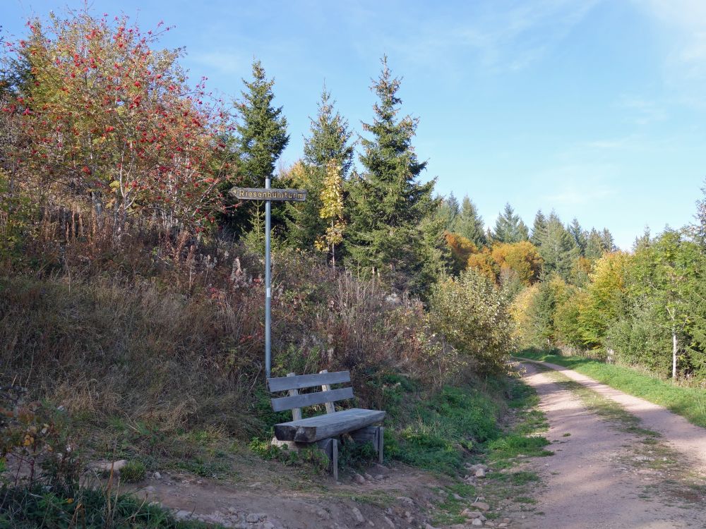 Abzweig zum Riesenbühl-Turm