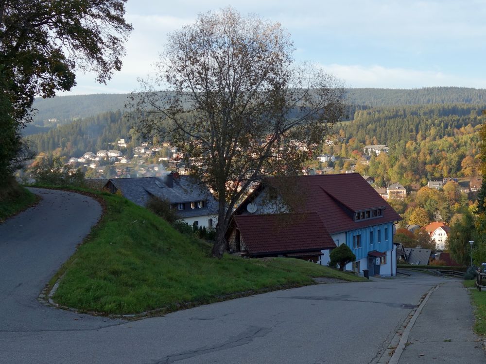 Blick auf Lenzkirch