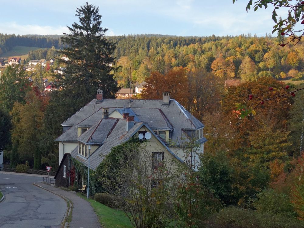 Haus in Lenzkirch