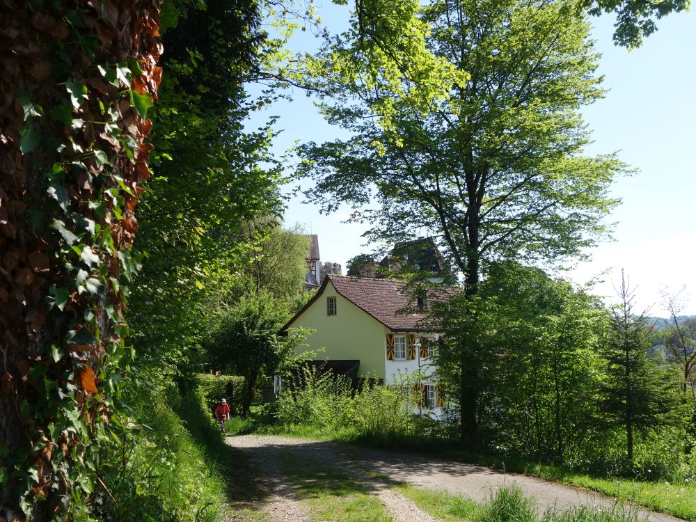 Liebeggerweg