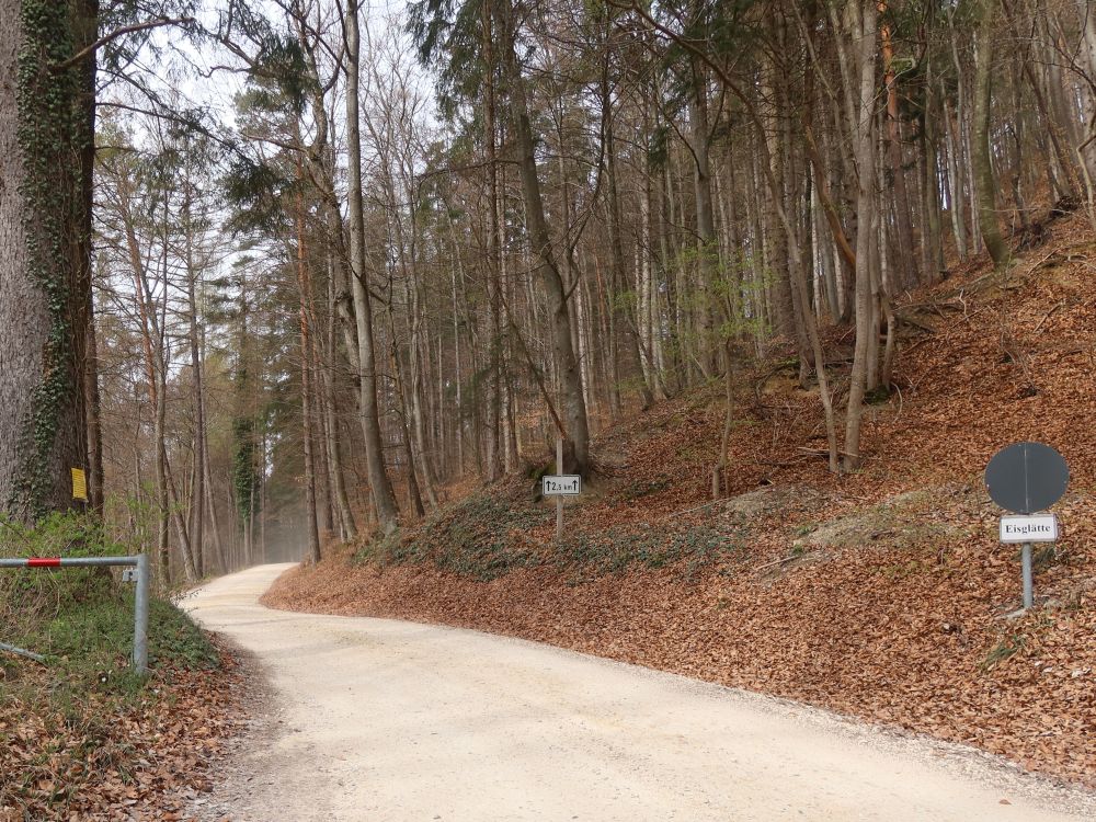 Waldweg