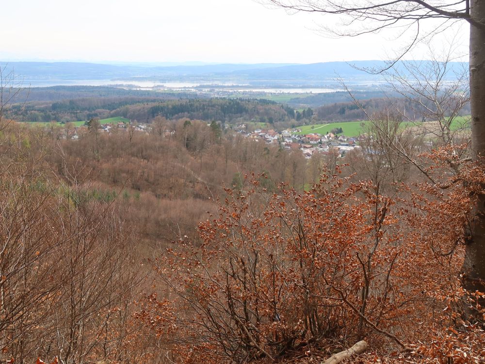 Blick Richtung Reichenau-Damm