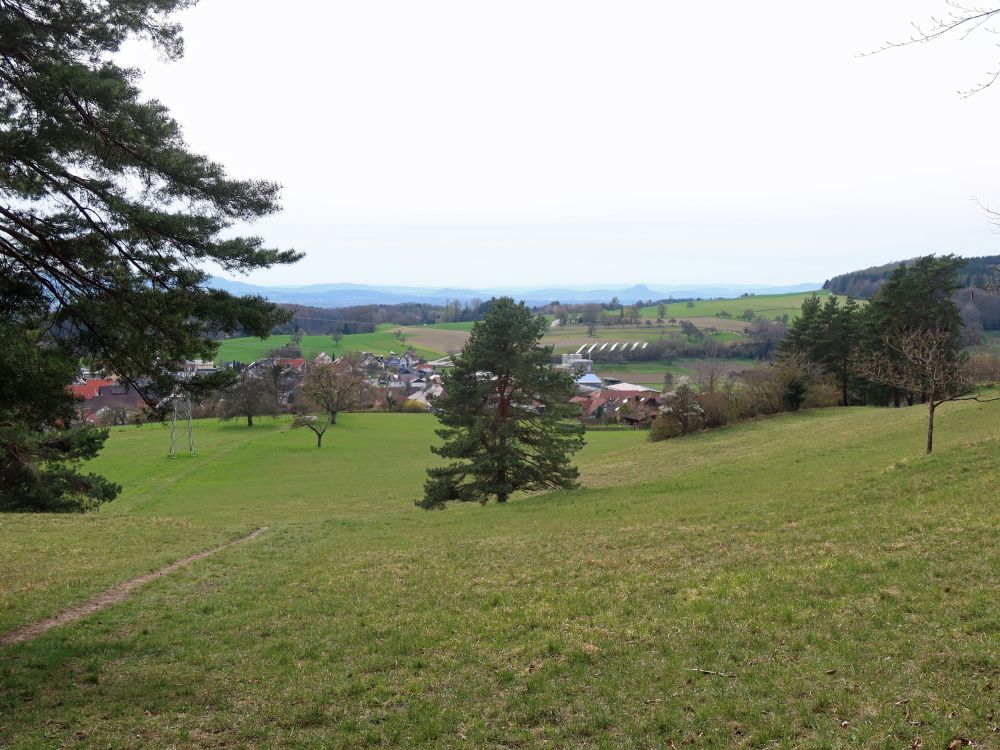 Blick Richtung Hegau