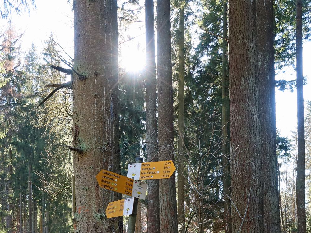 Wanderwegweiser am Mühlberg