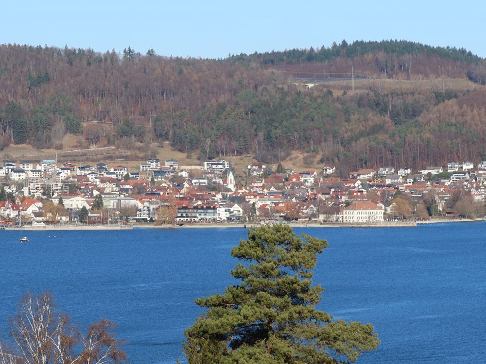 Ludwigshafen