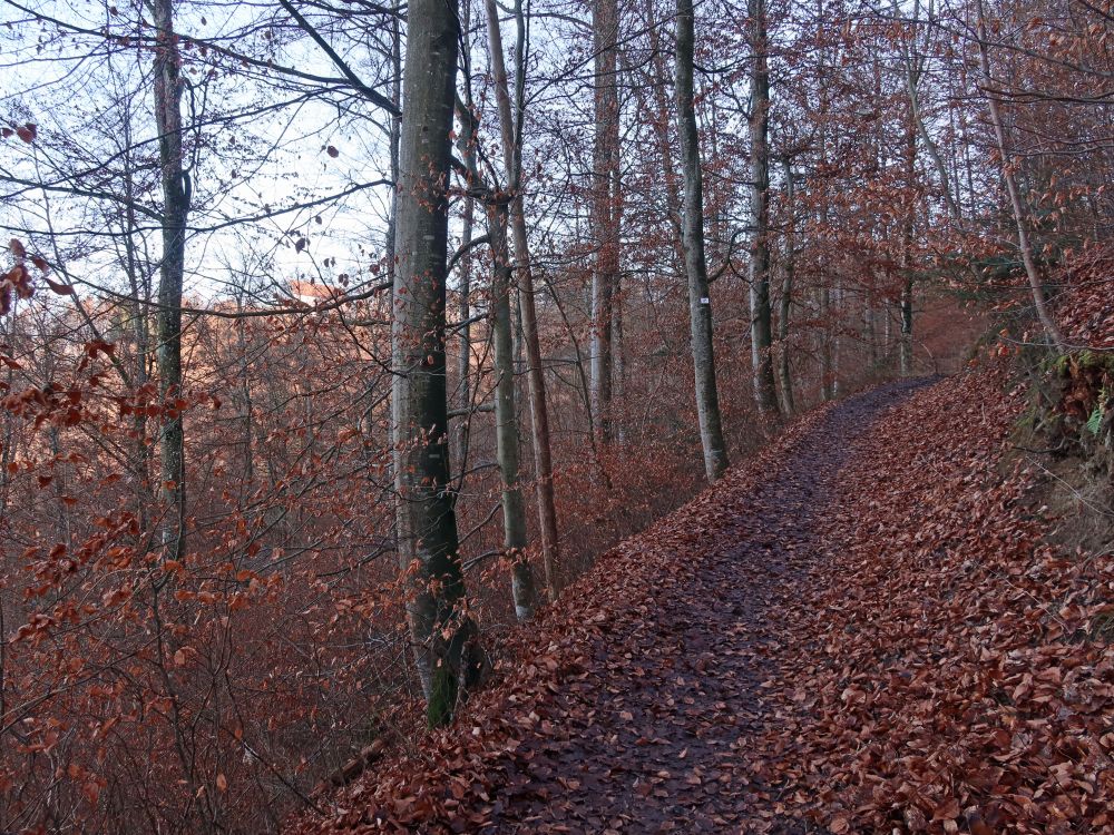 Burgenweg an der Schlosshalde