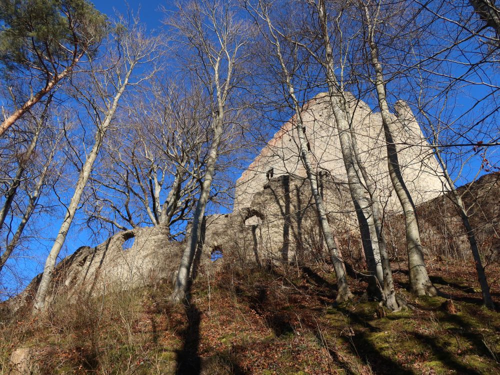 Ruine Altbodman