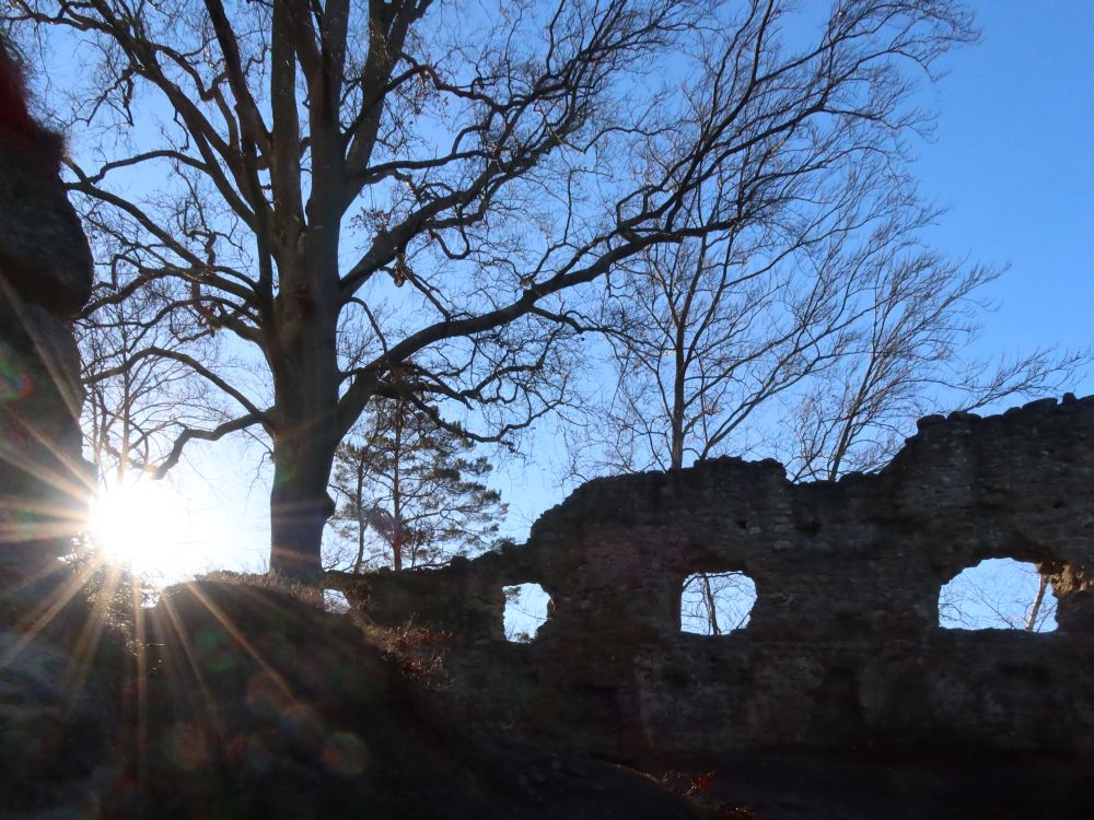 Ruine Altbodman mit Gegenlicht