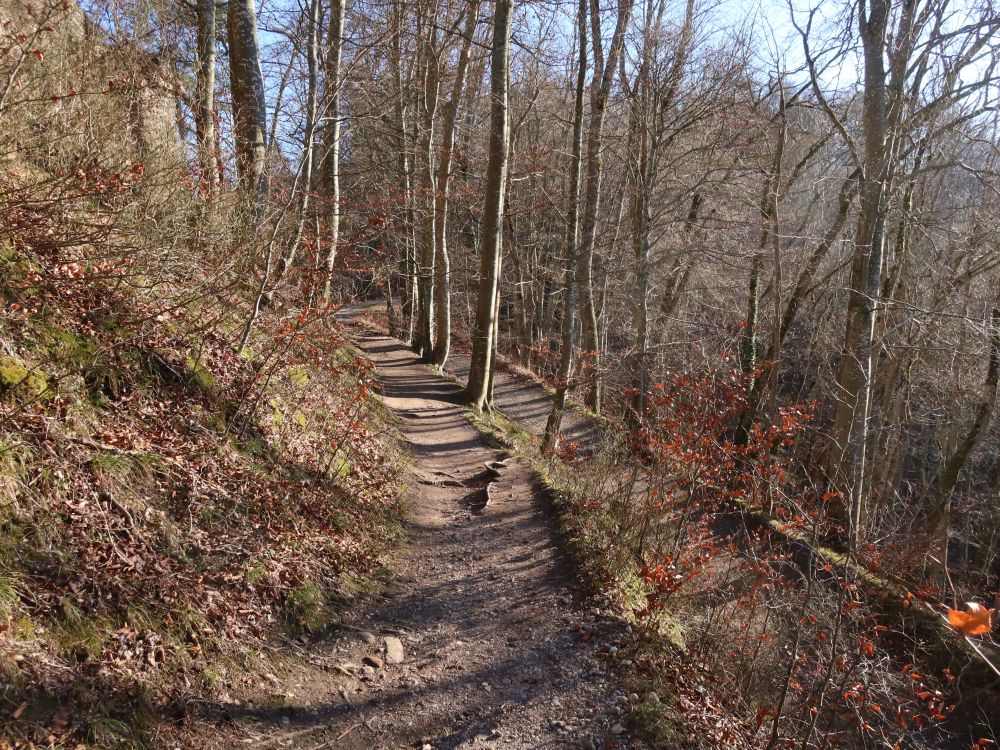 Pfade unter Ruine Altbodman