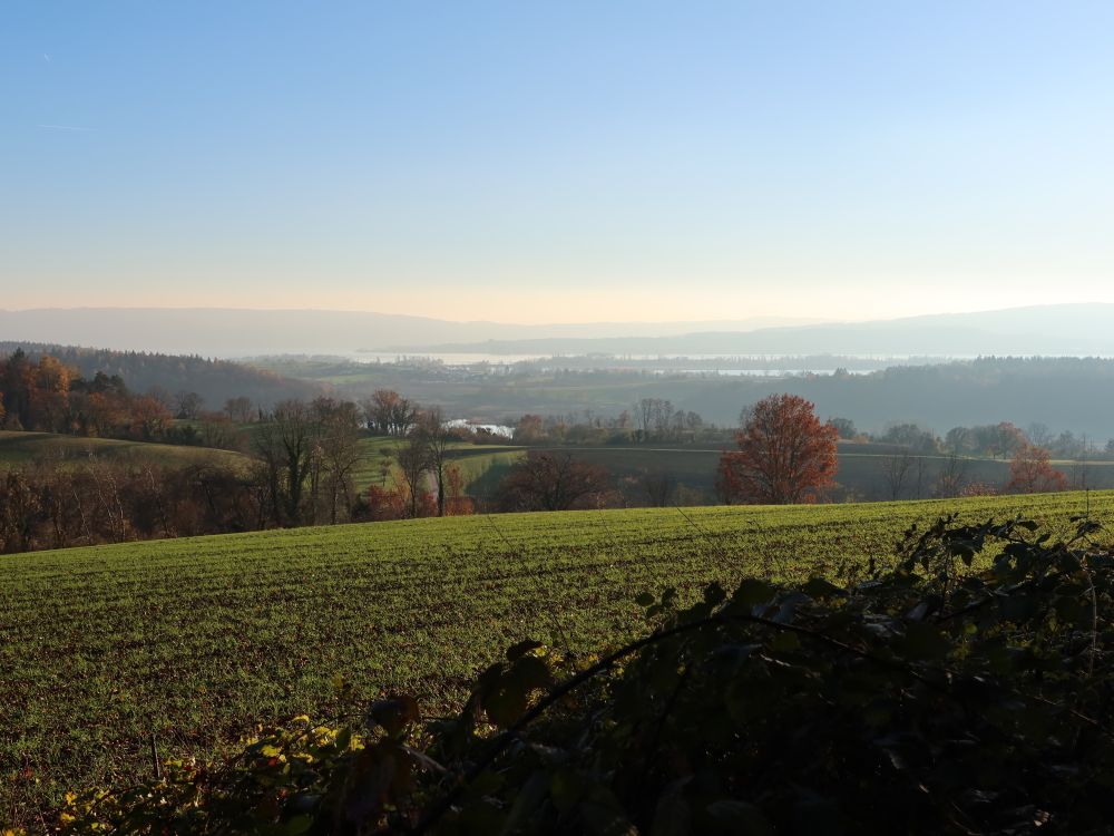 Blick zum Mindelsee und Bodensee