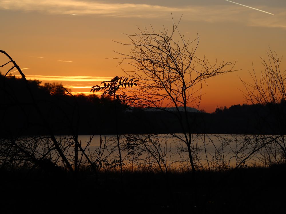 Abendlicht überm Mindelsee