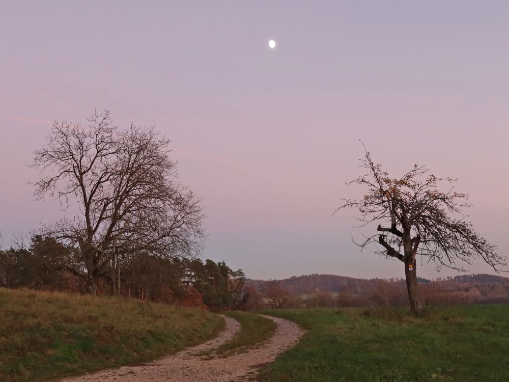 Abendstimmung mit Mond