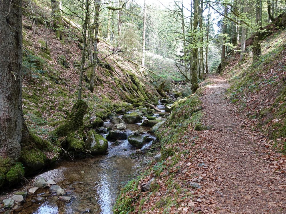 Hohwehraschlucht