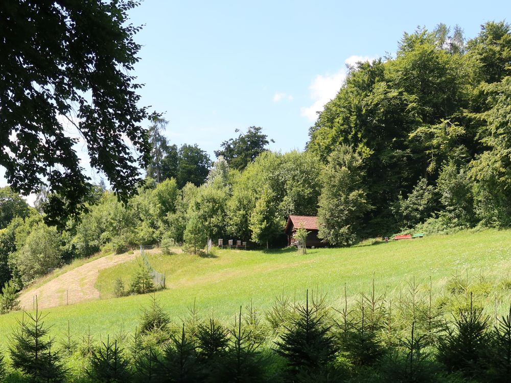 Bienenhäuschen am Waldrand