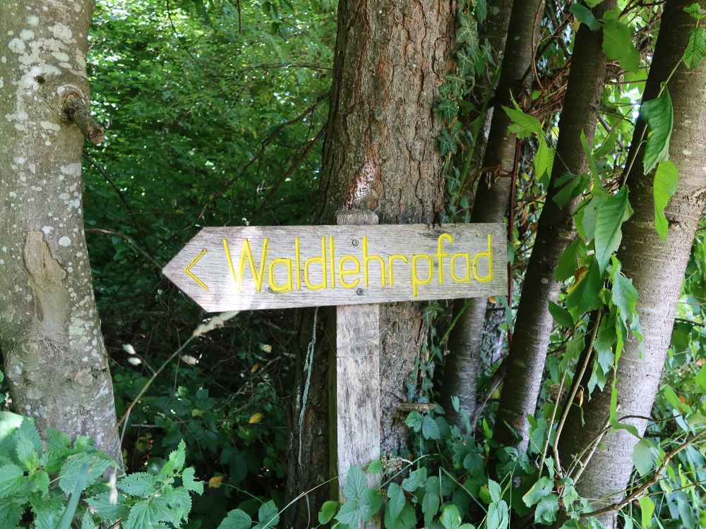 Wegweiser