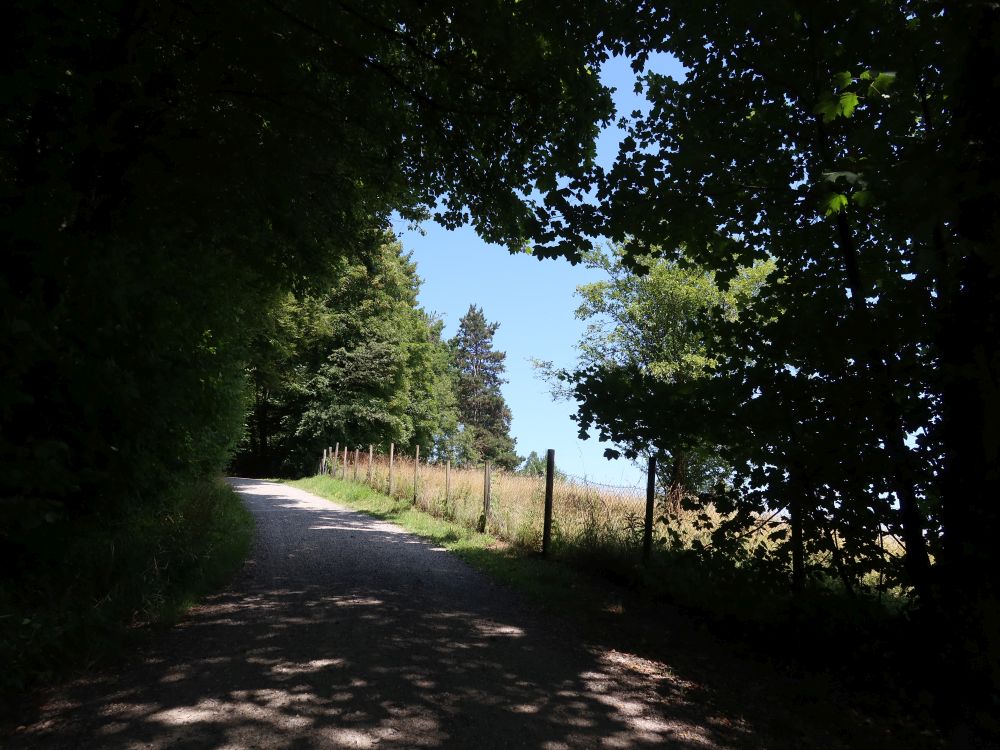 Lindbergwaldstrasse