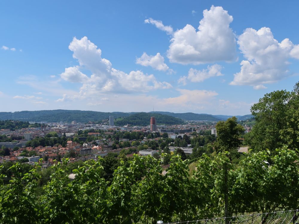 Blick auf Winterthur