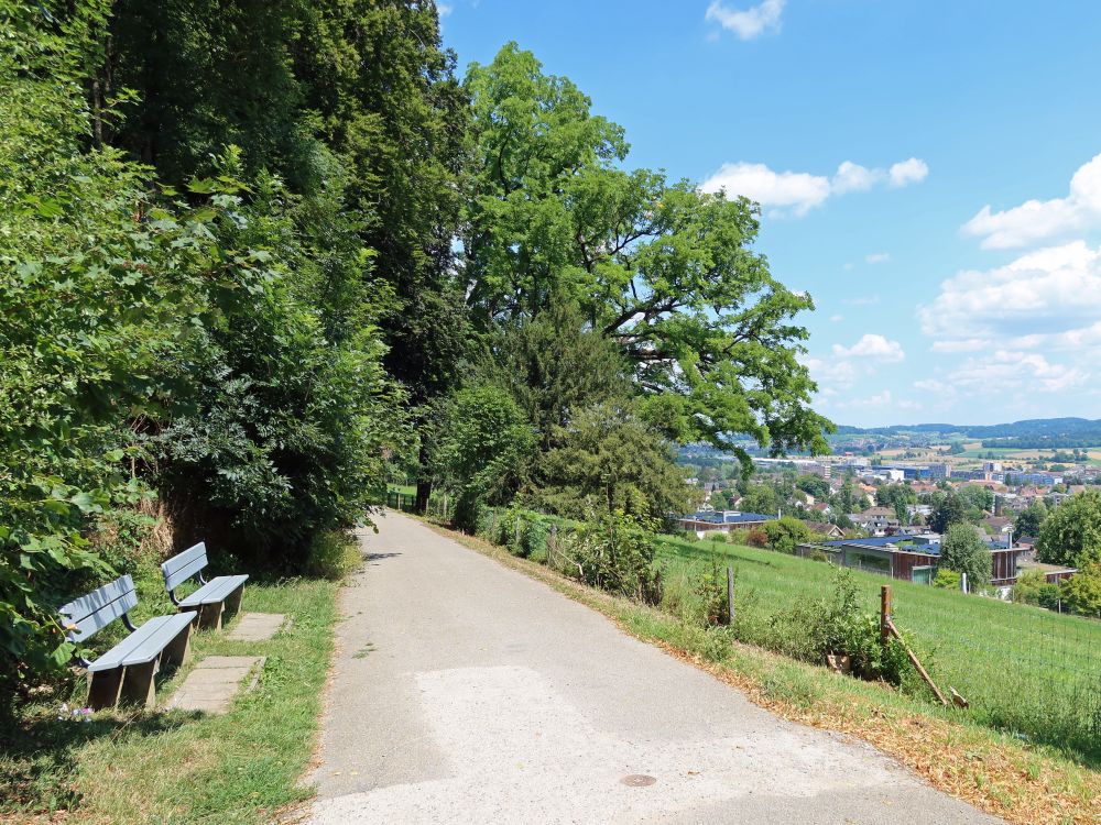 Sitzbänke am Waldrand