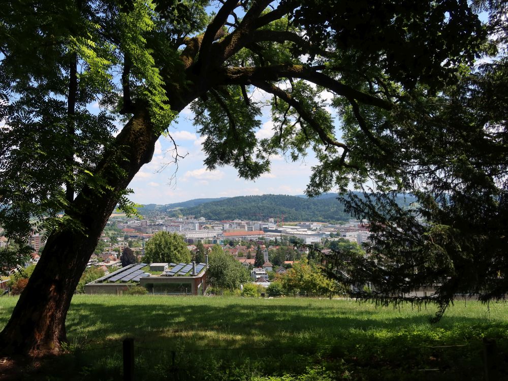 Winterthur