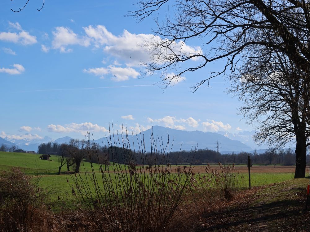 Rigi im Dunst