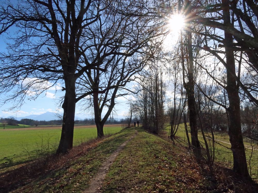 Ämtlerweg an der Reuss