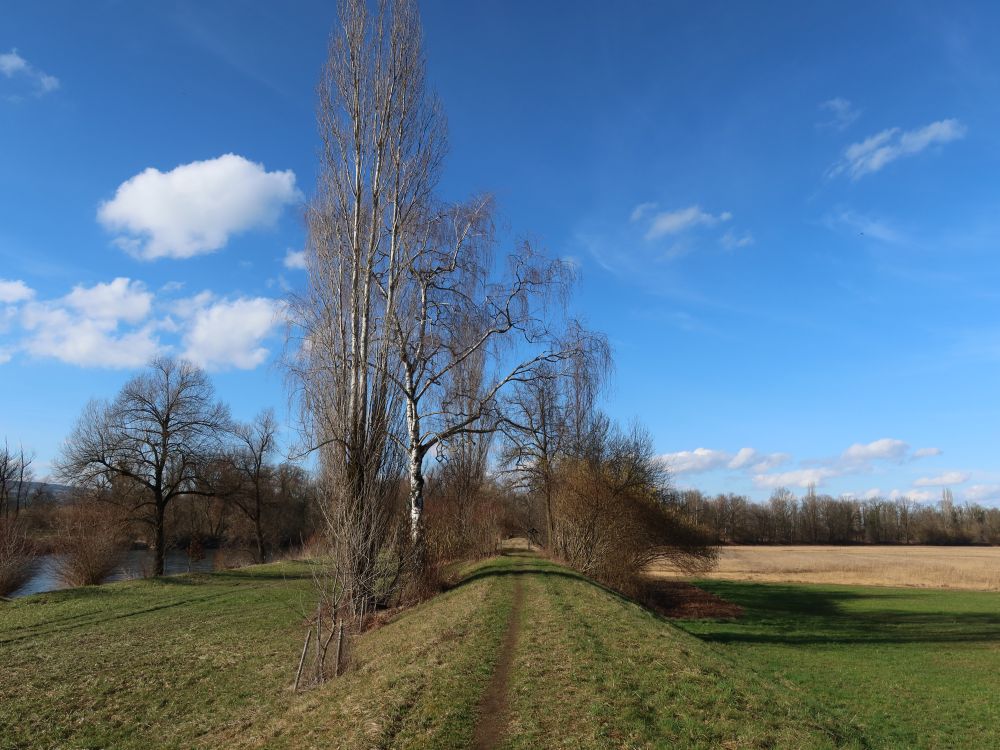 Ämtlerweg