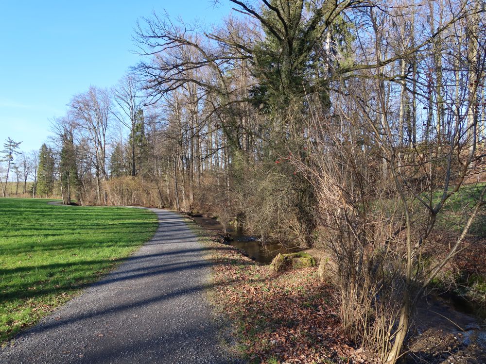 Weg am Lindenbach