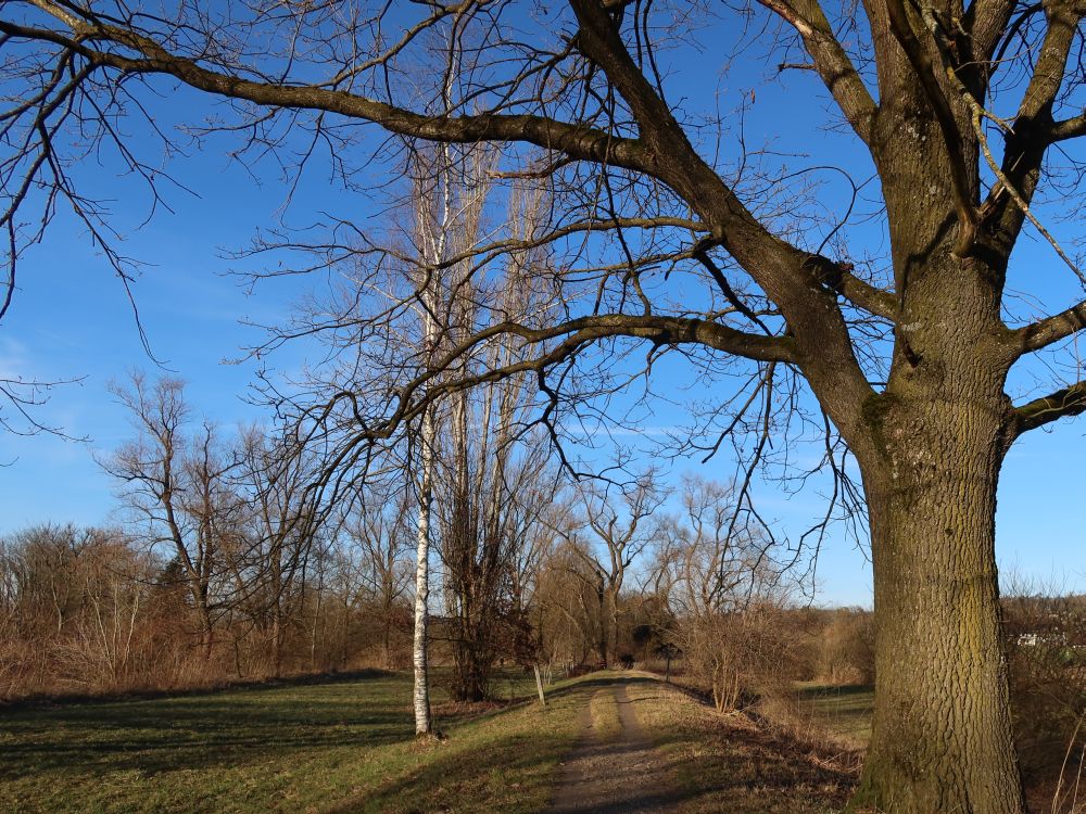 Ämtlerweg