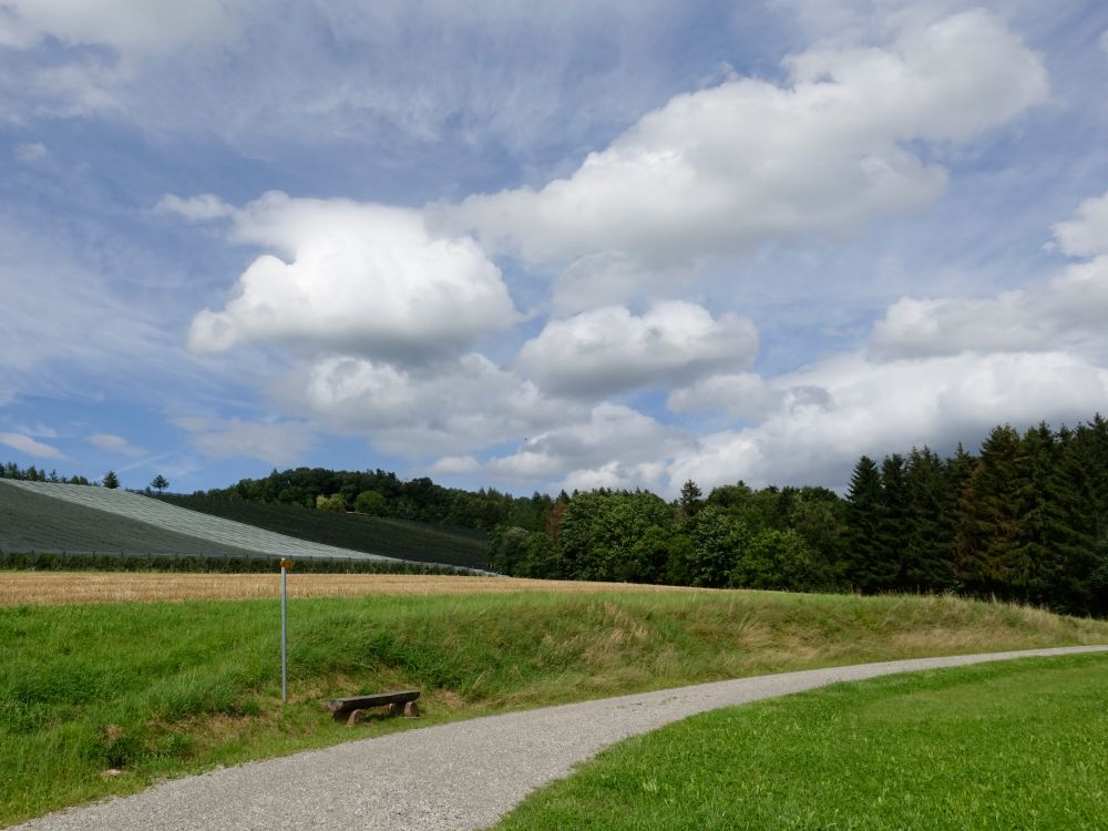 Wolken über Hangetloo