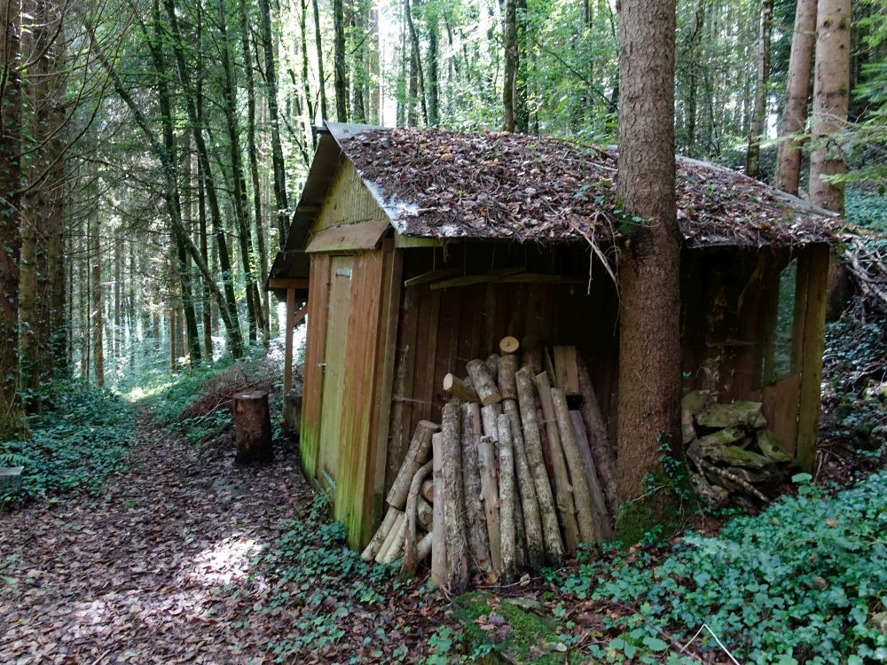 Hütte im Rütiholz