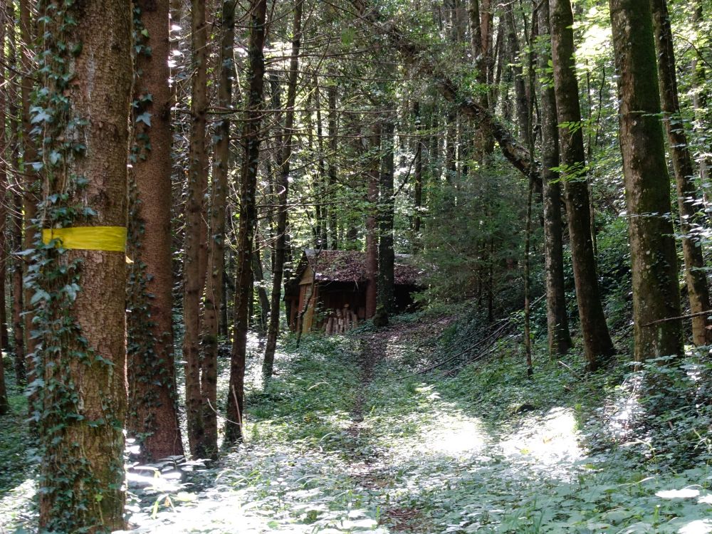 Hütte im Rütiholz