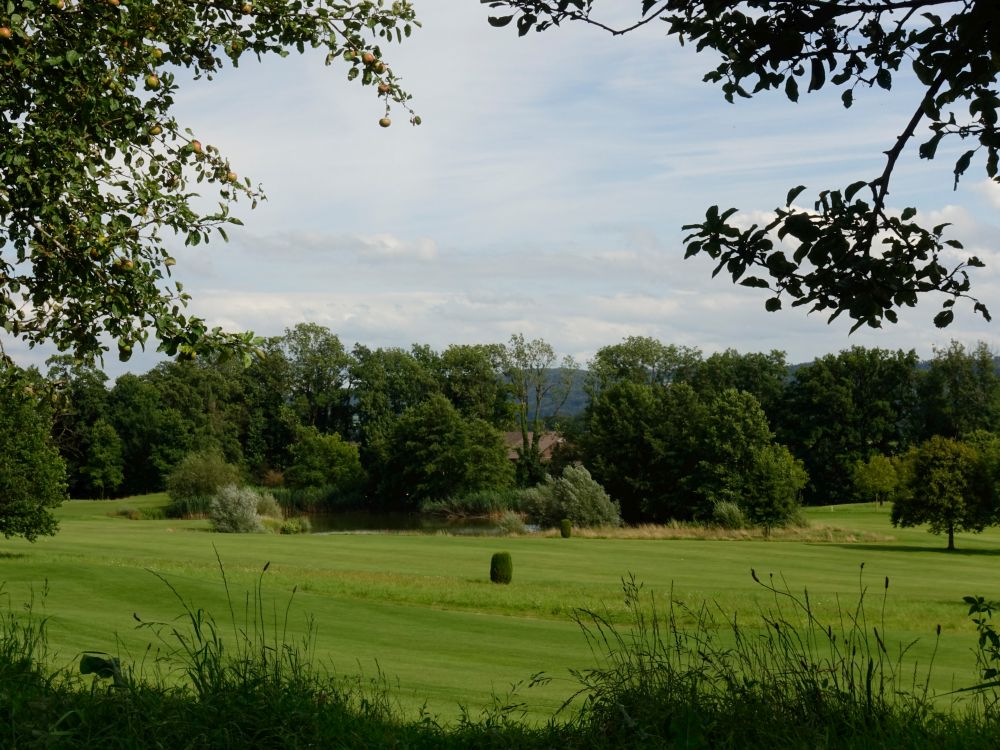 Teich im Golfplatz