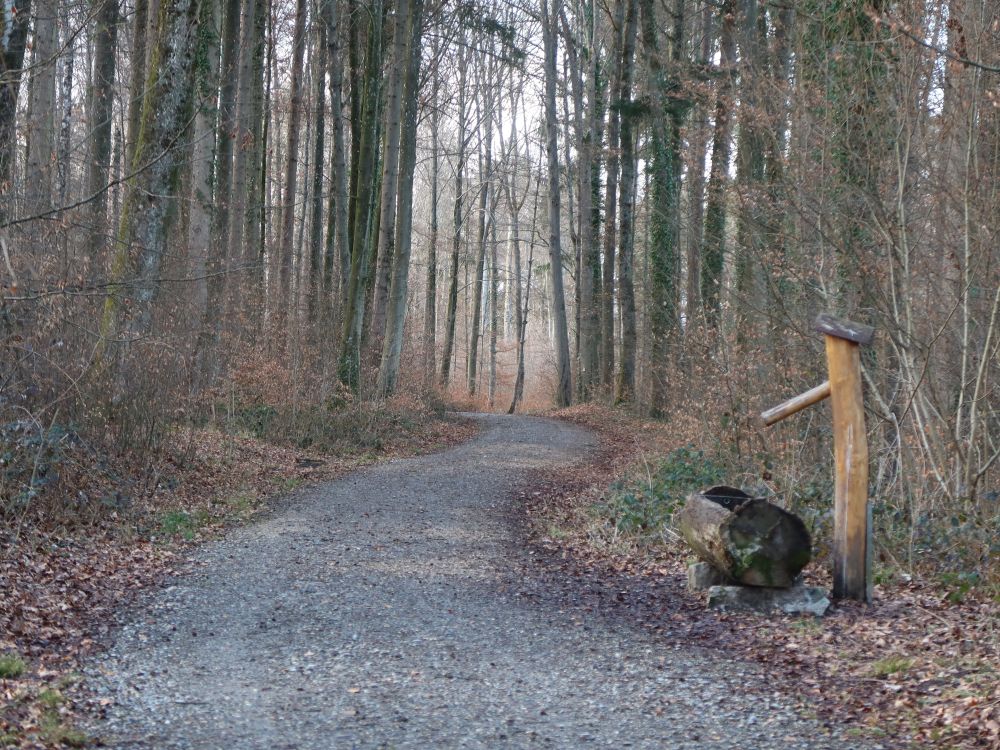 Brunnen am Waldweg