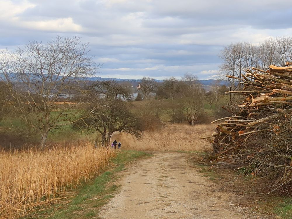 Weg am Langenberg