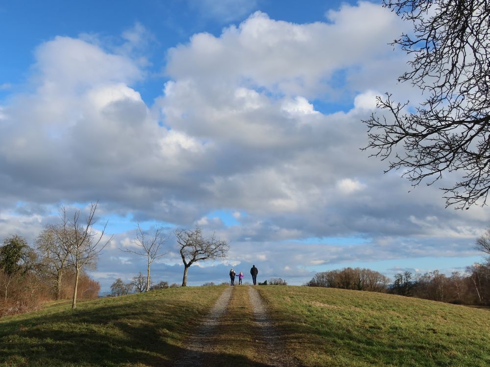 Weg am Langenberg