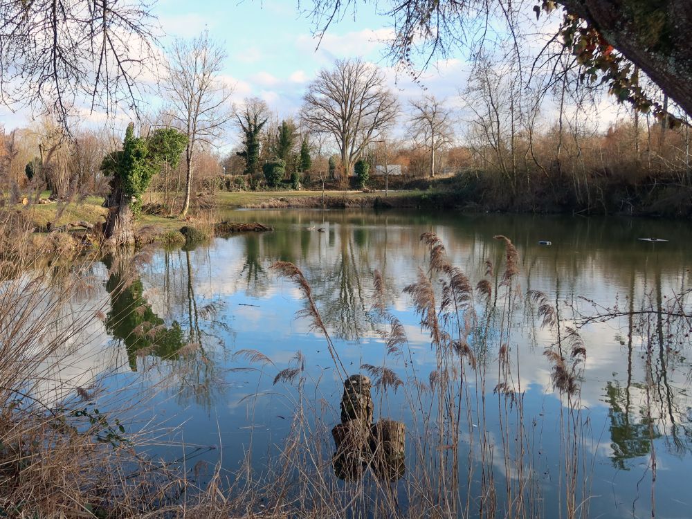 Teich am Fließhorn