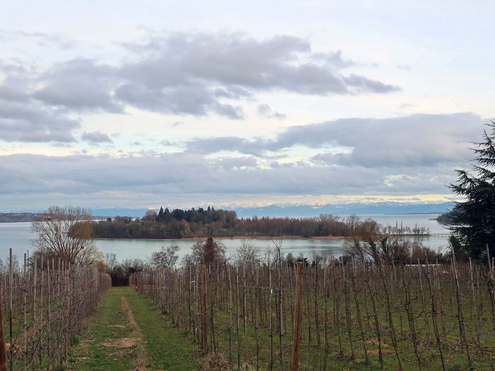 Blick Richtung Mainau