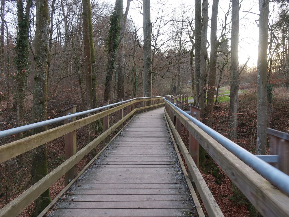 Steg im Mainau Ruhewald