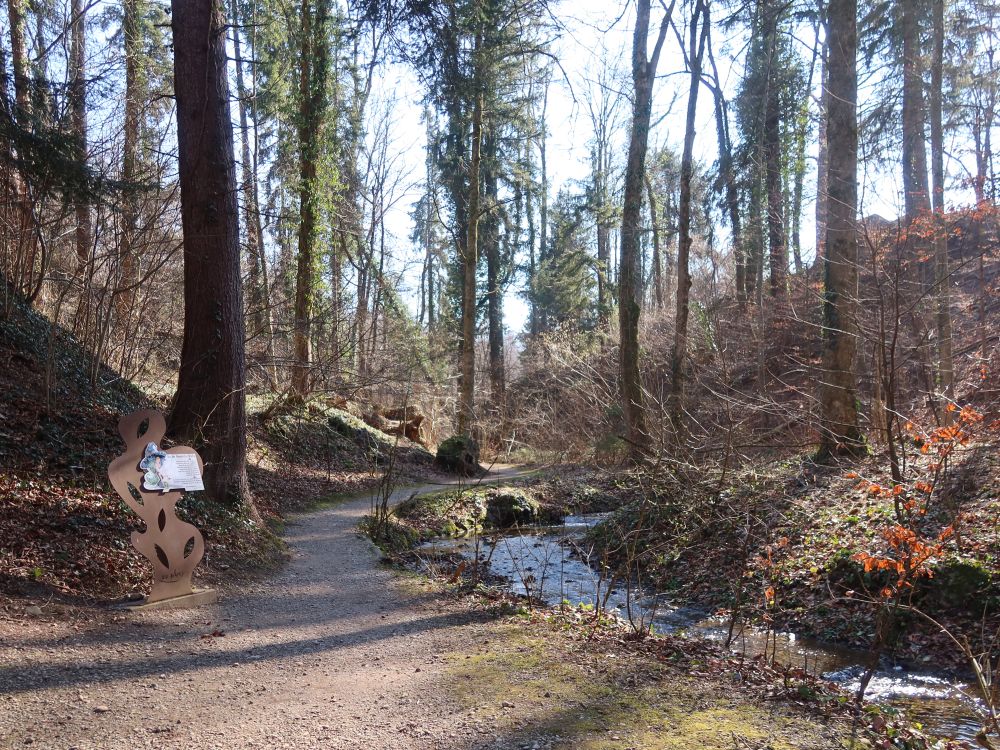 Pfad im Hexentobel