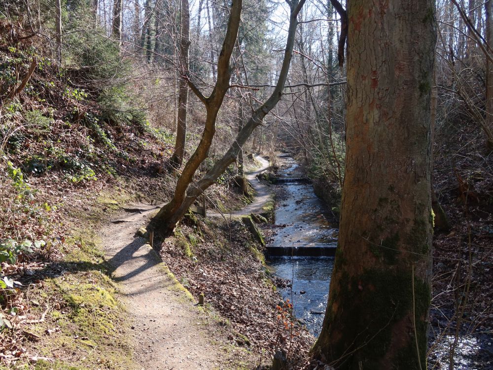 Pfad im Hexentobel