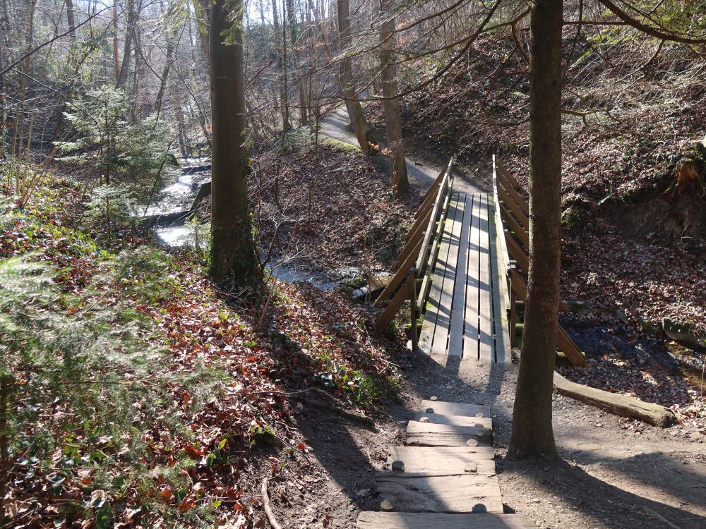 Holzsteg im Hexentobel