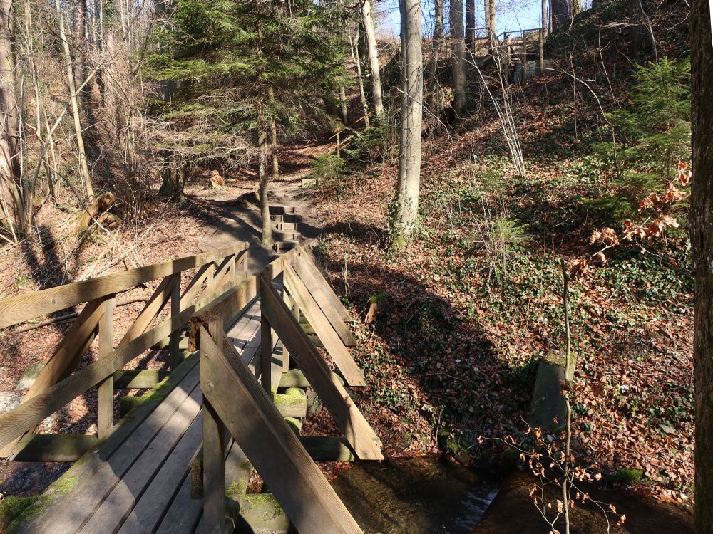 Holzsteg im Hexentobel