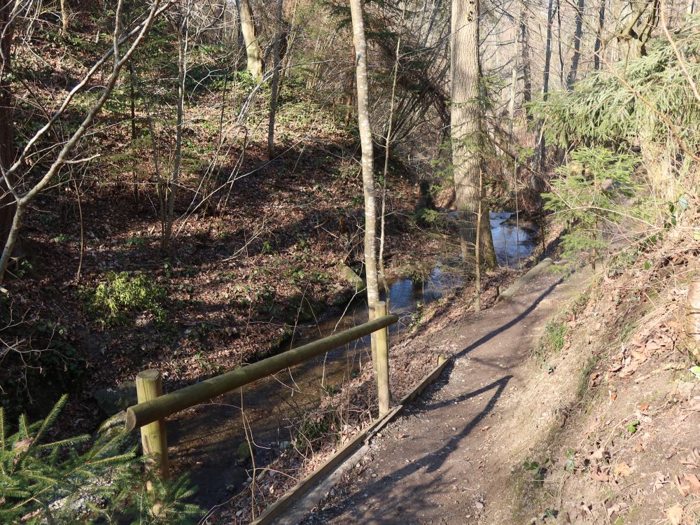 Pfad im Hexentobel