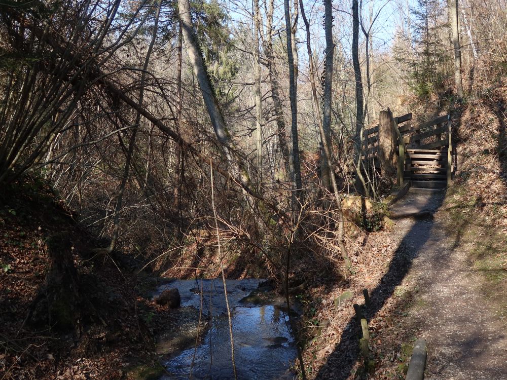 Pfad im Hexentobel