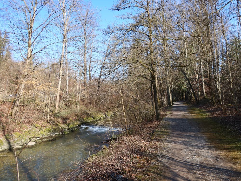 Weg an der Murg