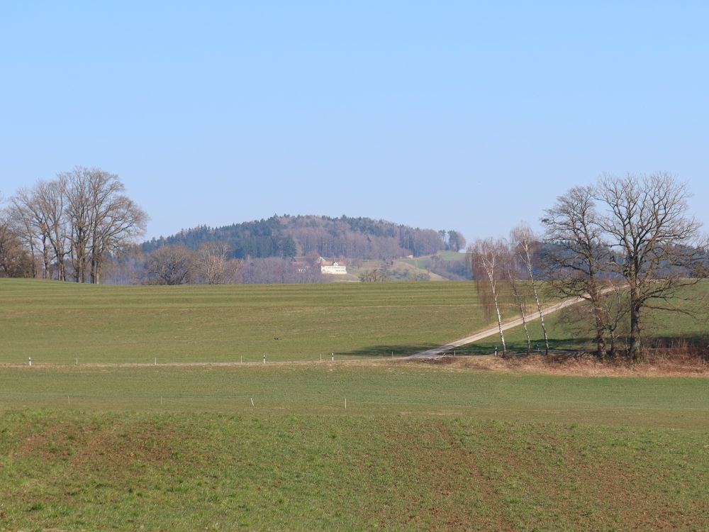 Bauernhof am Waldrand