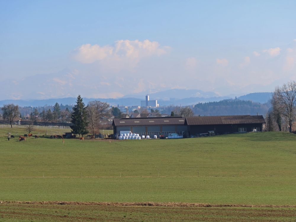 Blick Richtung Säntis