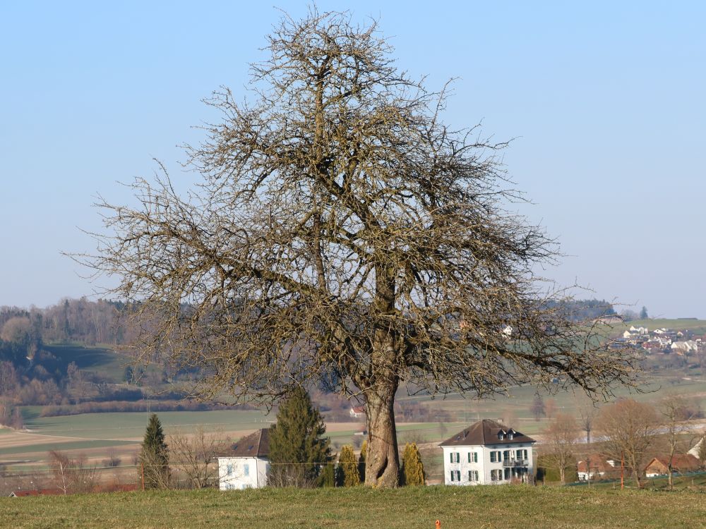 Häuser bei Lommis