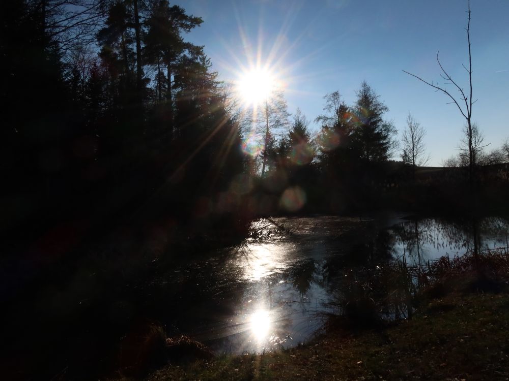 Sonne im Weierholzbach