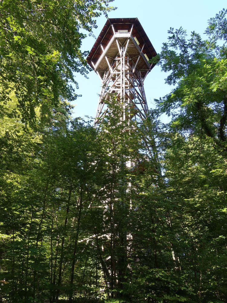 Aussichtsturm am Loorenchopf